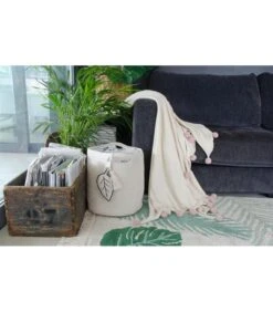 Bambino Store -Bambino Store 11069 2