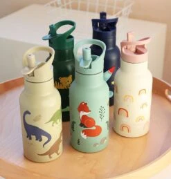 A Little Lovely Company Trickflasche Aus Edelstahl, Dinosaurier -Bambino Store 38953 4